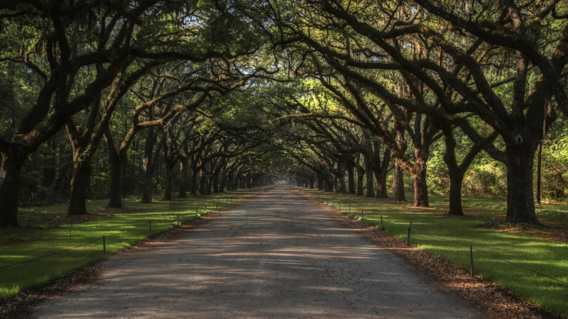 Wormsloe