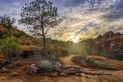 Sunset over the red rocks of Sedona, Arizona
