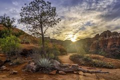 Sunset over the red rocks of Sedona, Arizona