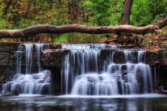 Caron Falls water tumbling over rocks